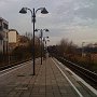 IMG_0251