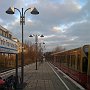 IMG_0253