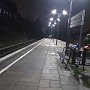 IMG_0259