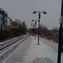 IMG_0268