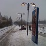 IMG_0275