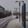 IMG_0289