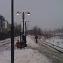 IMG_0290