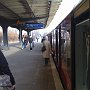 IMG_0345