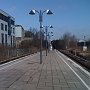 IMG_0356