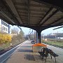IMG_0397
